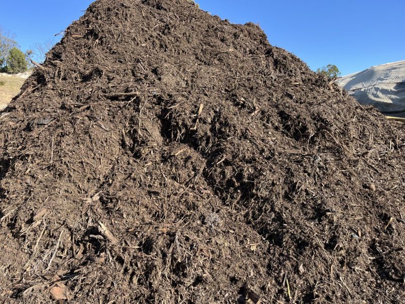 Forestry Mulch at Wood Galore